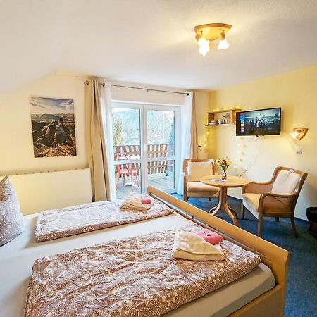 L9 - Urlaubsmagie - Balkon & Direkt Am Wanderweg Διαμέρισμα Sebnitz Εξωτερικό φωτογραφία